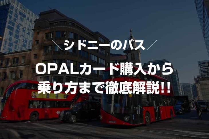 【シドニーのバス】OPALカード購入から乗り方まで徹底解説!!