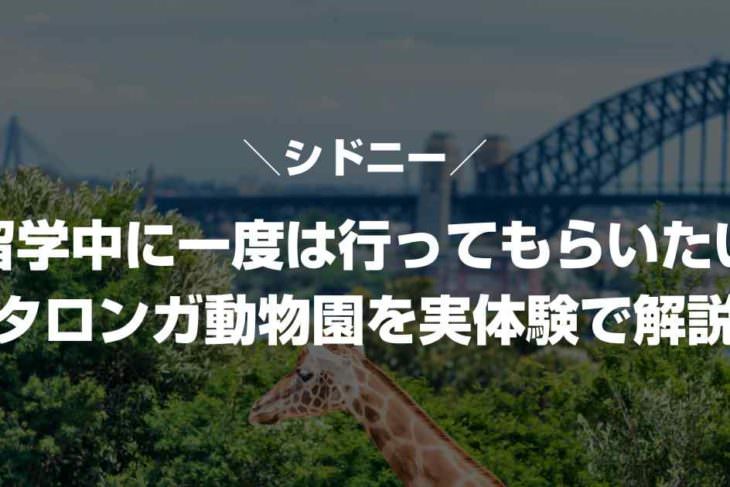 タロンガ動物園を実体験で解説【オーストラリア留学中に一度は行ってもらいたい】