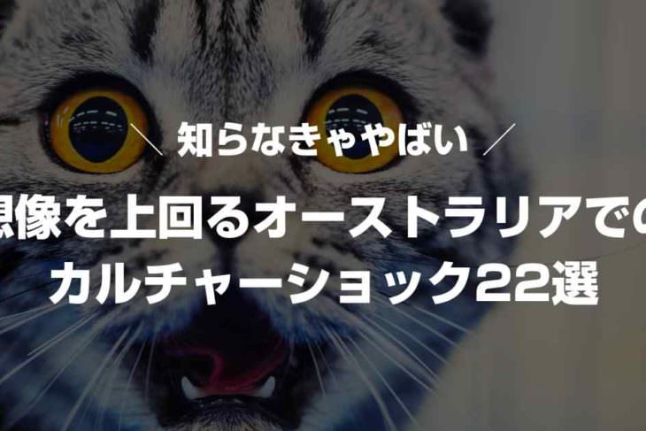 想像を上回るオーストラリアでのカルチャーショック22選