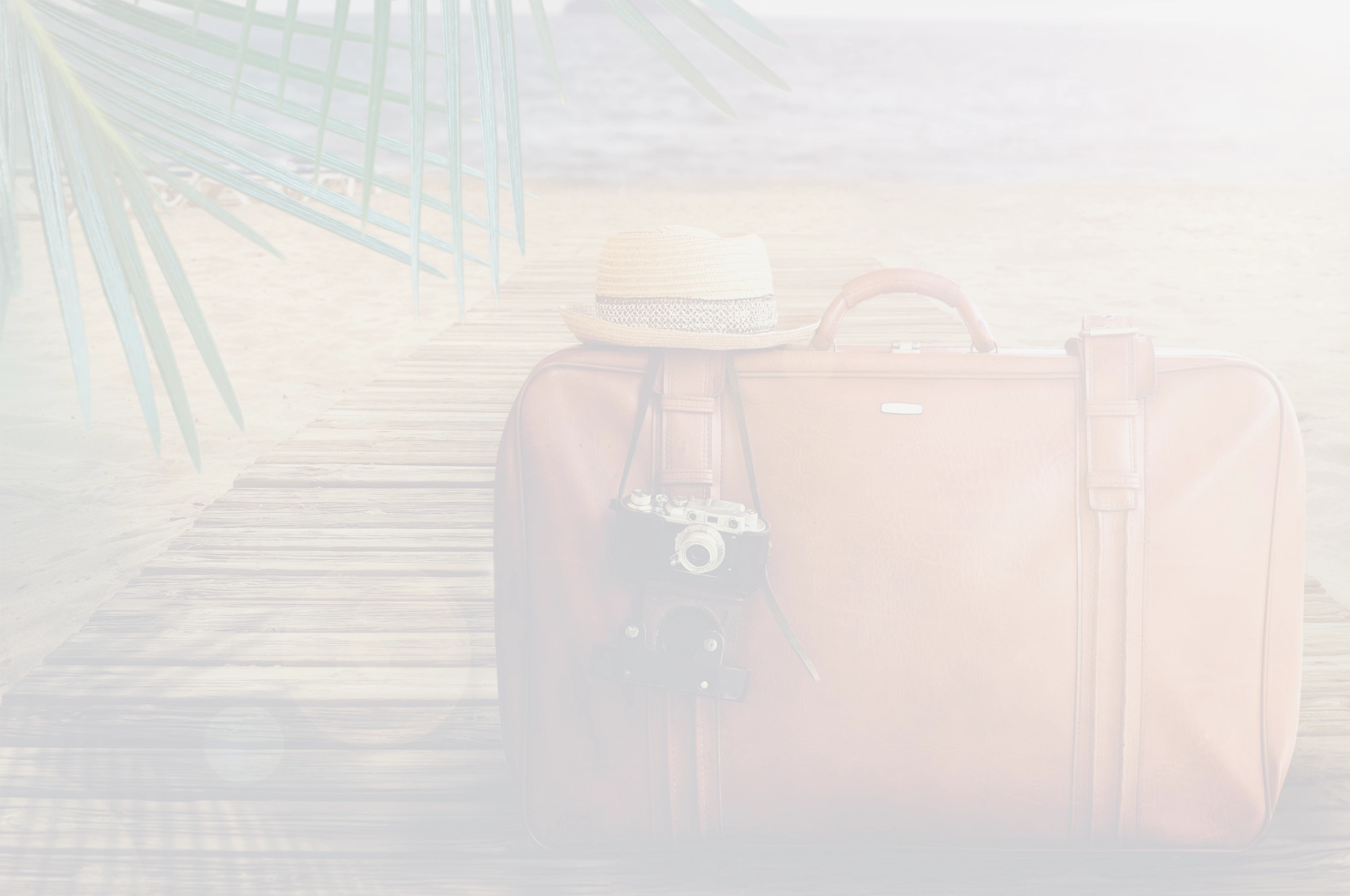 アイルランド留学情報