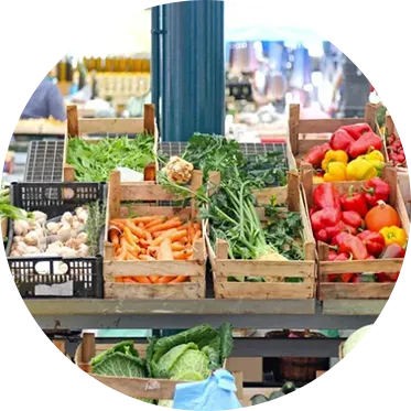 就学環境が良い