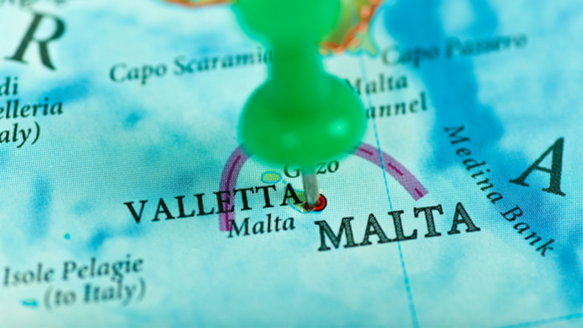 キャンペーン・ニュース