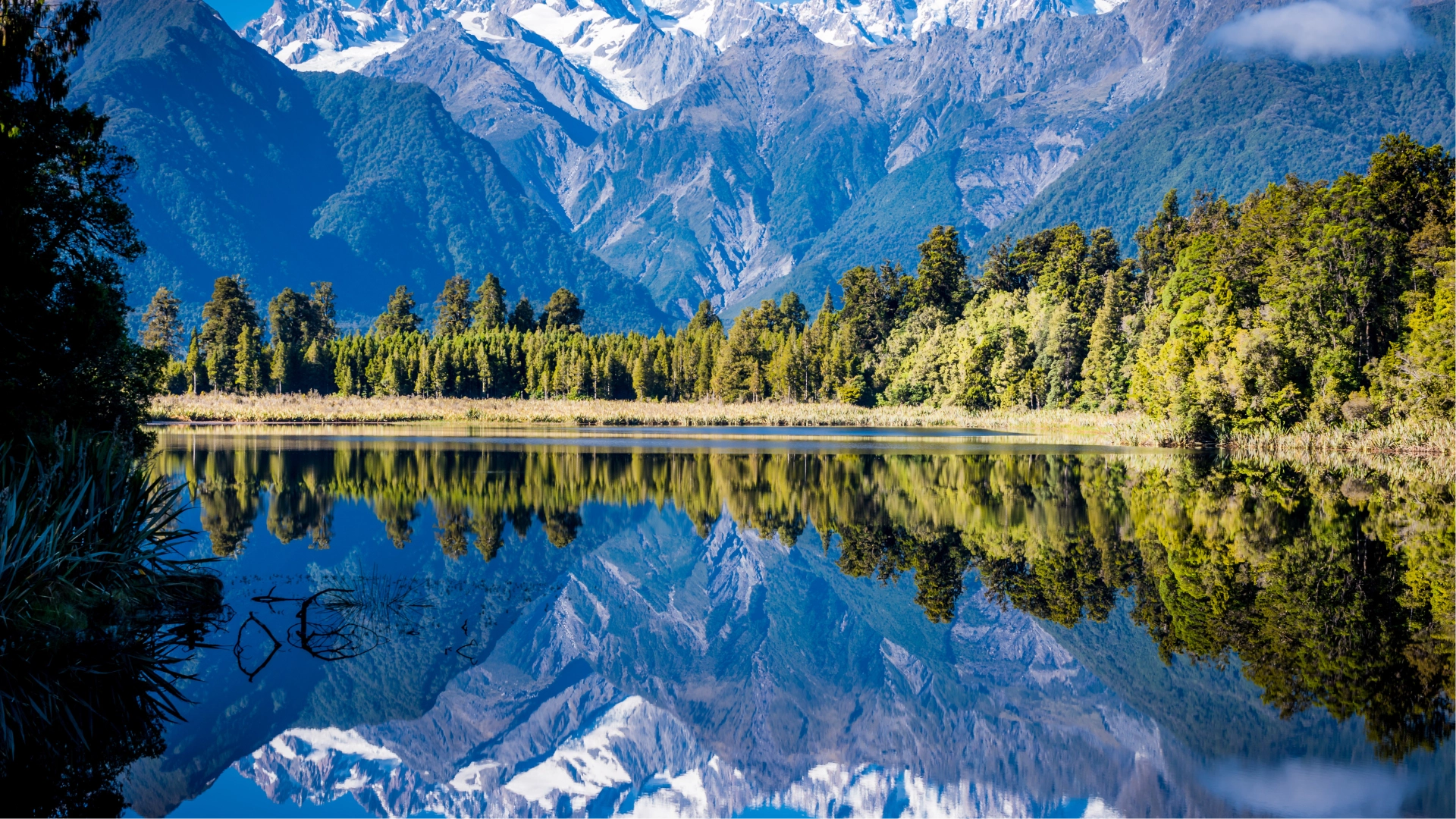 写真：ニュージーランド