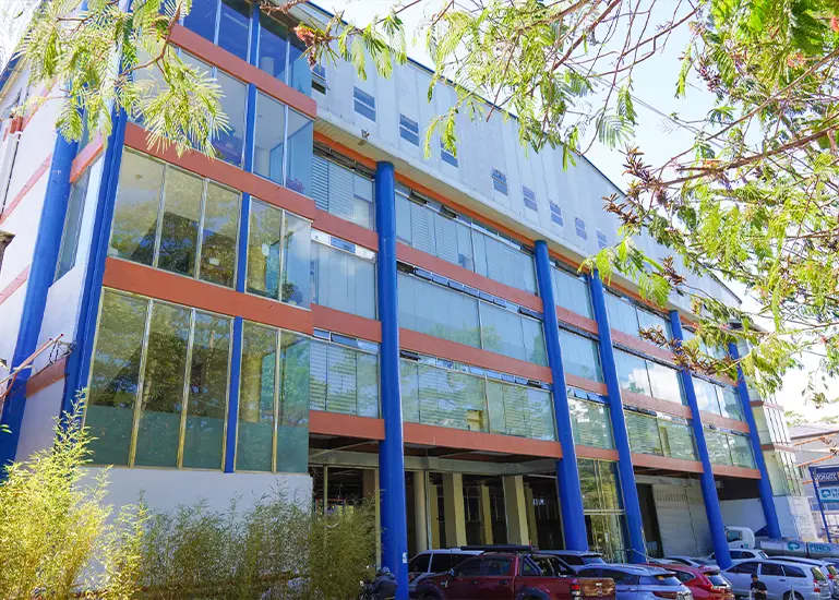 Pines メインキャンパス