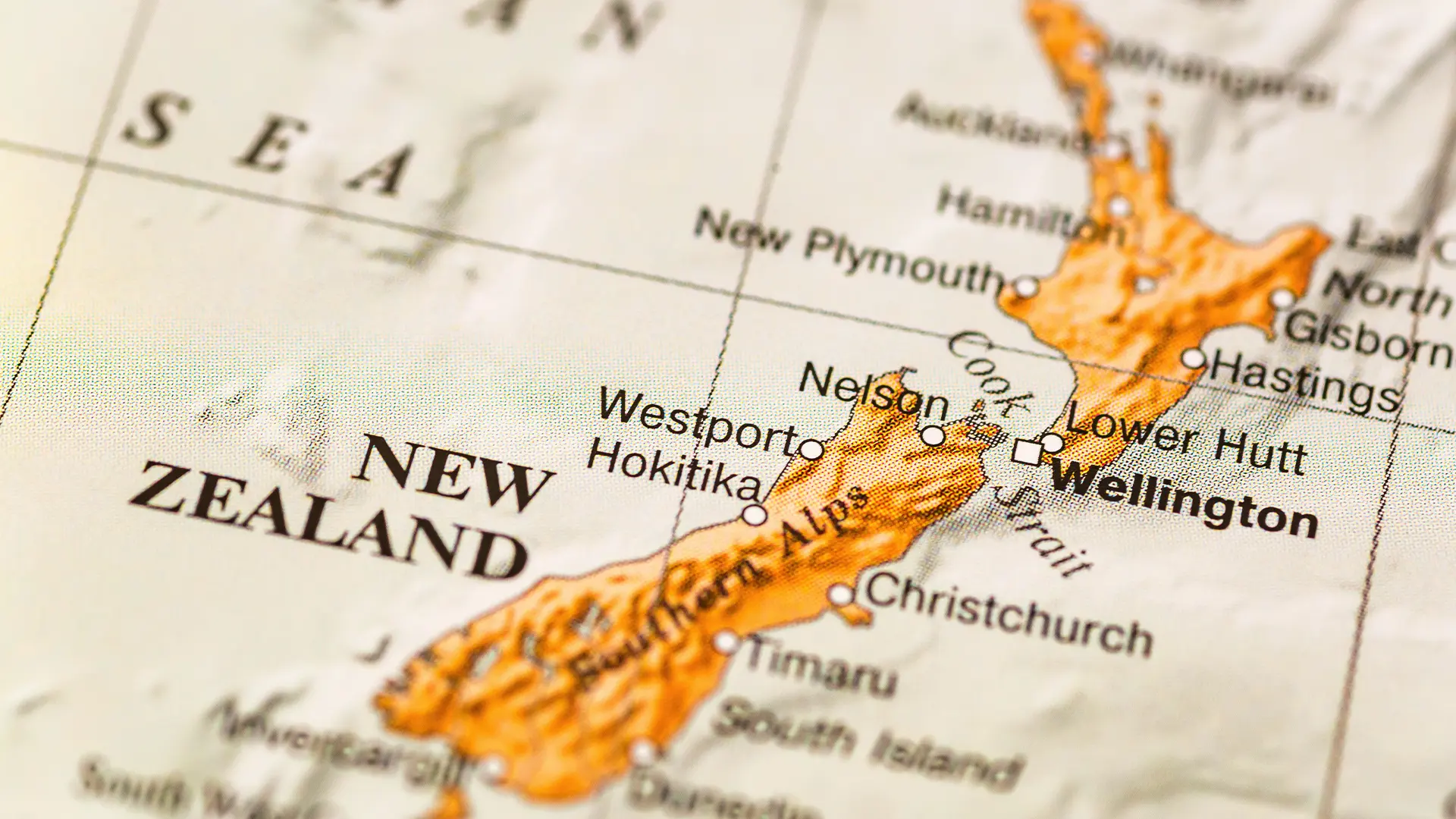 キャンペーン・ニュース