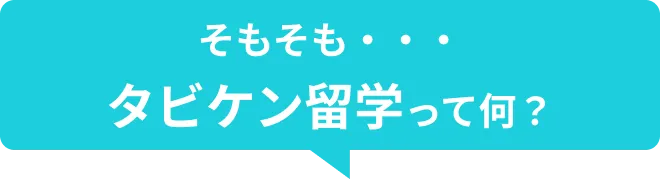 タビケンとは